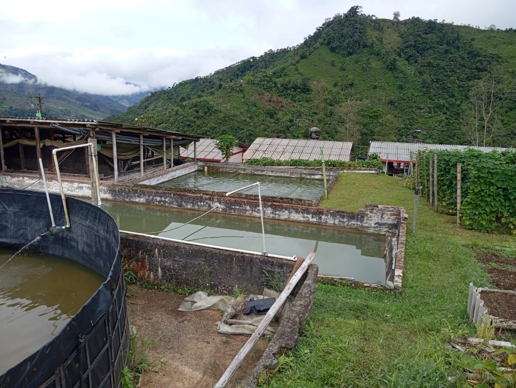 Agroecologia