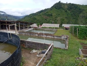 Agroecologia